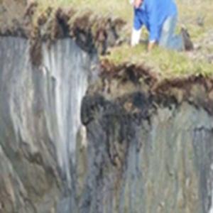 Gigante adormecido é descoberto no Ártico