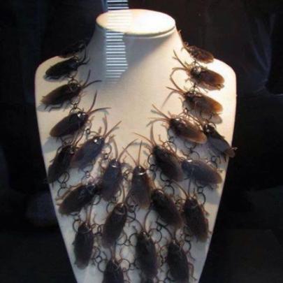 Moda barata - Fashion cockroach