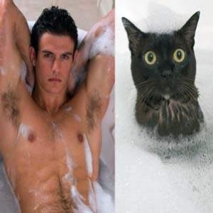 Gatos que se parecem com modelos masculinos