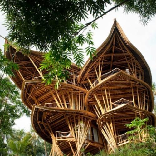 Casa de Bambu
