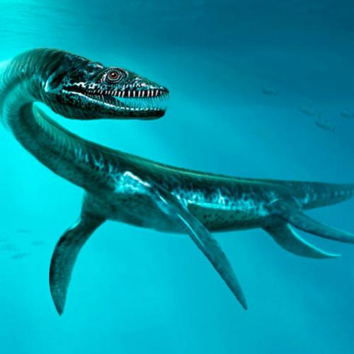 Fósseis de plesiossauros encontrados no Saara 
