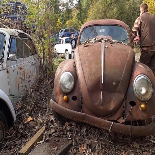 Raro Volkswagen, um Fusca, é encontrado depois de 52 anos esquecido na