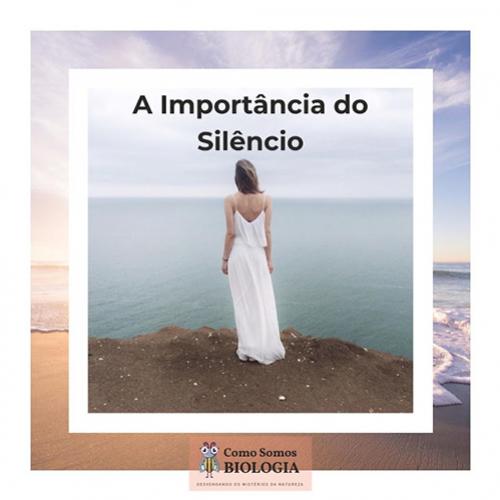 Qual é a importância do silêncio?