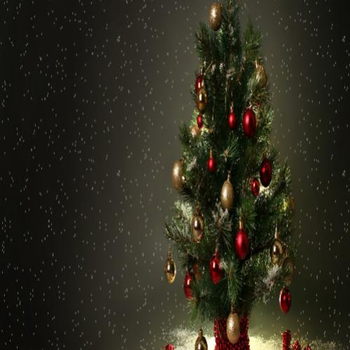 Você conhece a origem da árvore de Natal?