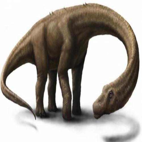 O Colossal Dinossauro da Patagônia