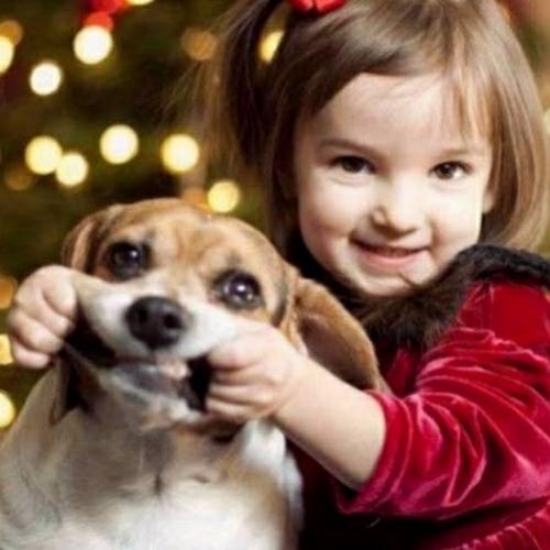 Crianças e seus amigos cães