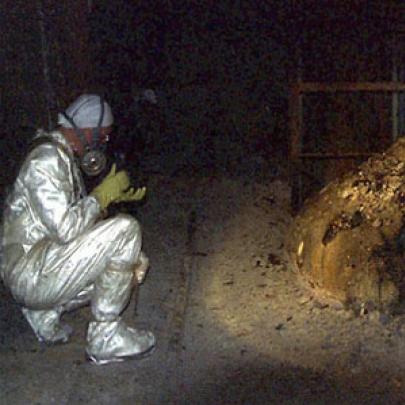 Criatura bizarra nasce em Chernobyl devido a radiação