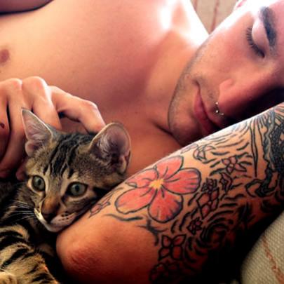 Homens preferem ter gatos a cachorros, segundo pesquisa