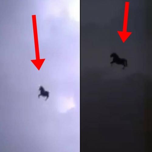 Cavalo misterioso é visto voando durante chuva forte