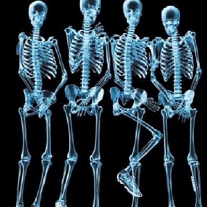 11 fatos surpreendentes sobre o esqueleto