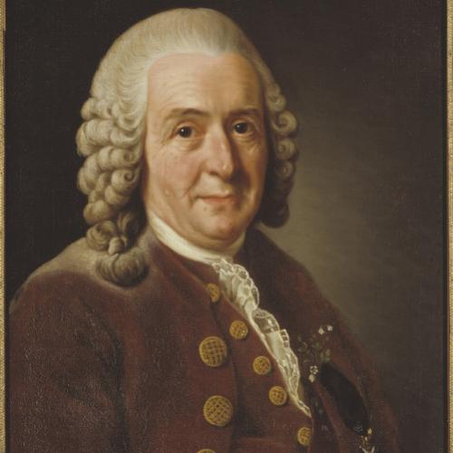Pessoas influentes na Biologia - Carl Nilsson Linnaeus