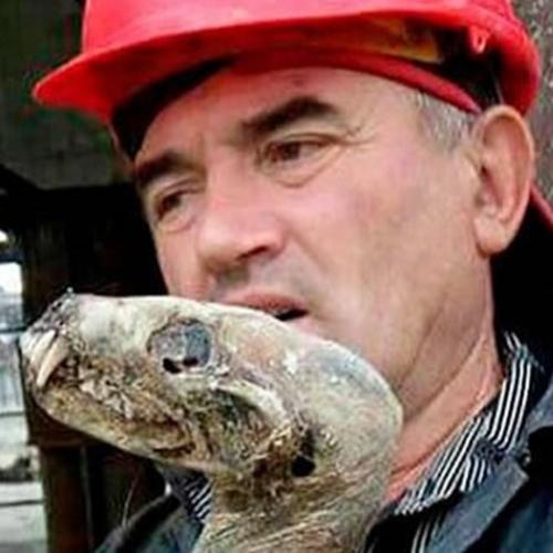 Criatura estranha mumificada é encontrada na Sibéria