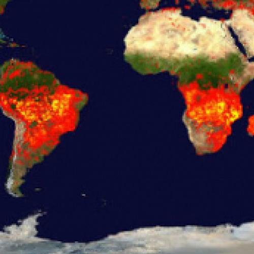 Mapa mostra todos os incêndios de 2019, e são muitos