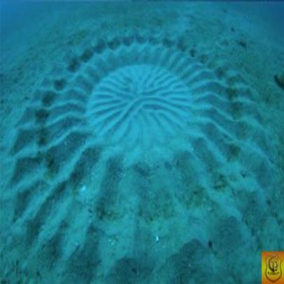 Intrigantes formas deixadas no fundo do mar é um mistério