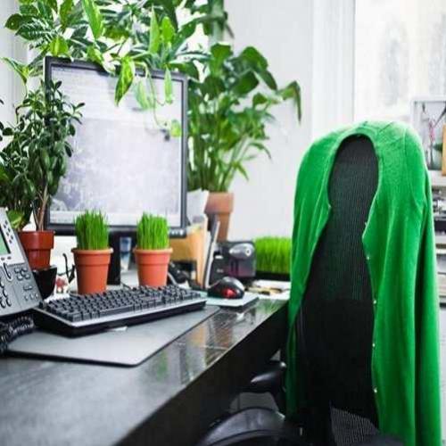 As plantas em seu ambiente de trabalho