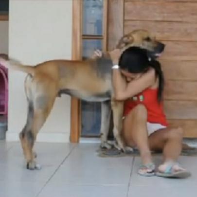Cenas Inacreditáveis: Cachorro Ataca Dona 24 Dias Após Ser Adotado!