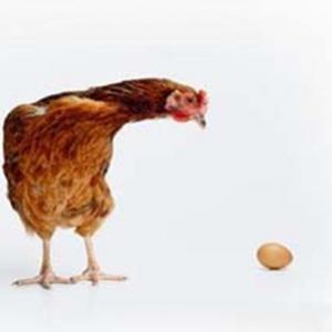 Quem surgiu antes: o ovo ou galinha