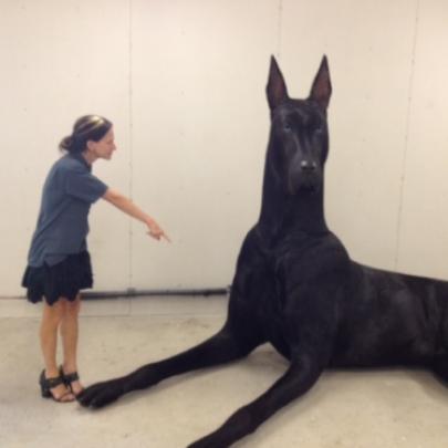 A notícia que o maior cão do mundo pode ser abandonado é falsa