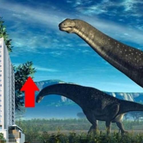 Qual é o maior dinossauro que já existiu na Terra?