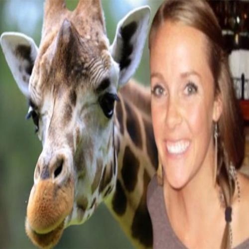 Americana leva chute de girafa e ainda é multada por assediar animal
