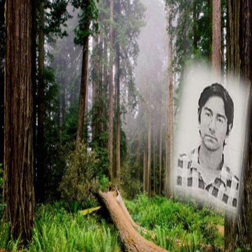 Médico espanhol desaparecido há 20 anos é encontrado em uma floresta
