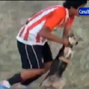 Jogador ARGENTINO agride cachorro durante partida !