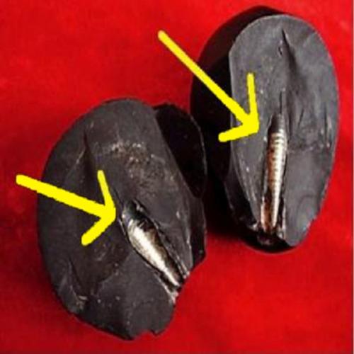Objeto estranho é encontrado dentro de meteorito