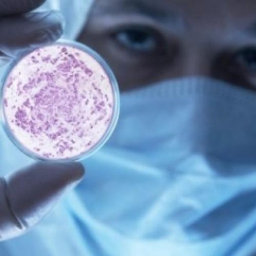 Poderia a humanidade ser exterminada pela  superbactéria? 