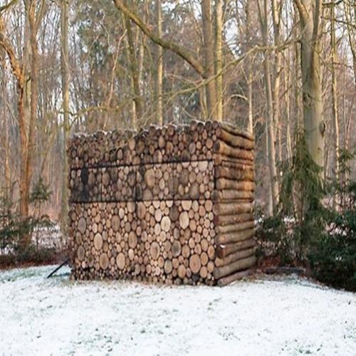Você não vai acreditar no que existe dentro dessa pilha de madeira… 