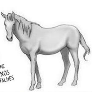 Tutorial: Aprenda a desenhar um cavalo facilmente.