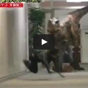 Pegadinha Japonesa Do Dinossauro