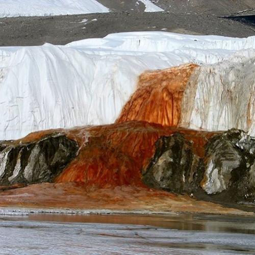 Conheça as misteriosas cataratas de sangue da Antártica