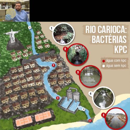 Superbactéria é encontrada em rio que deságua na Praia do Flamengo