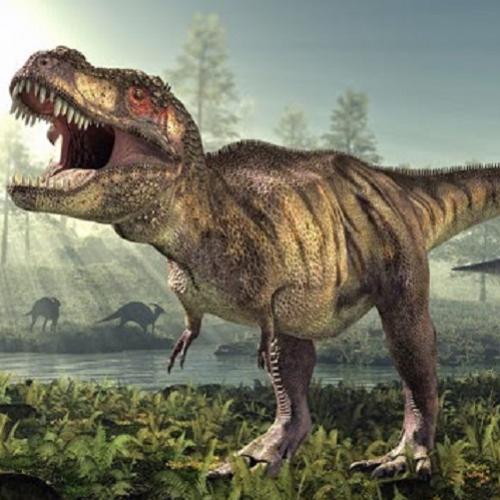 10 mistérios sobre dinossauros ainda não resolvidos