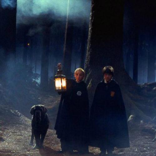 Floresta Proibida de Harry Potter pode se tornar real