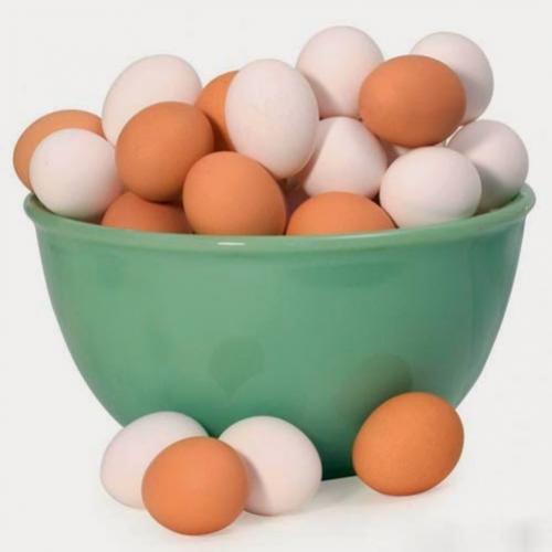 Por que existem cascas de ovos de galinha com cores diferentes?