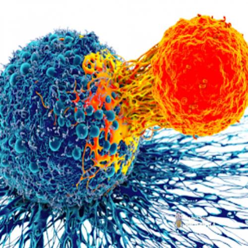 Células cancerosas podem entrar em hibernação para escapar da quimiote
