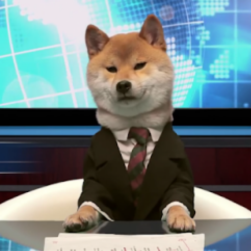 No Japão quem apresenta as noticias é um cão