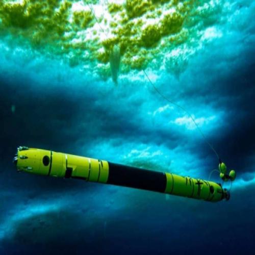 Robô subaquático faz descoberta alarmante na Antártica