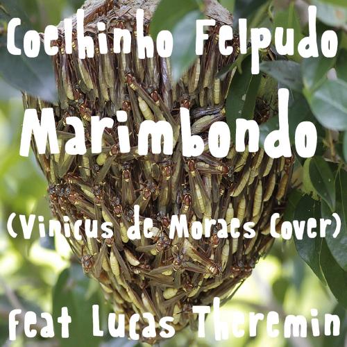 Coelhinho Felpudo - Marimbondo (Vinicus de Moraes Cover) feat Lucas Th