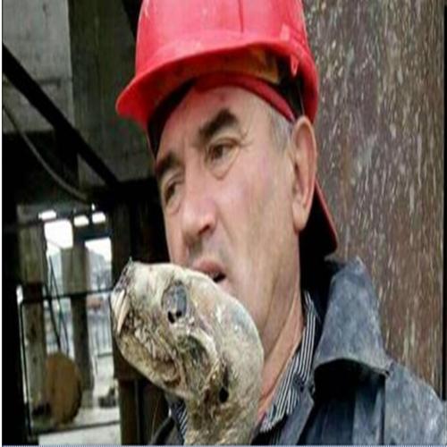 Mineiros da Sibéria, na Rússia, encontram corpo de criatura misteriosa