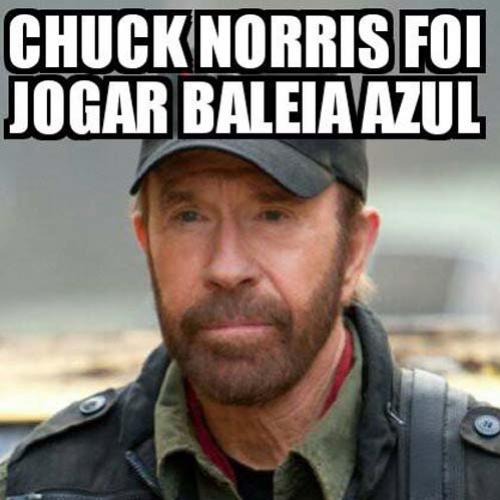 Saiba o que aconteceu com Chuck Norris que foi jogar Baleia Azul