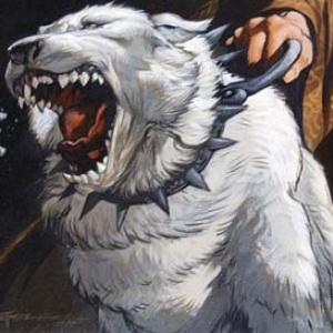 Isamaru, o lendário cão branco