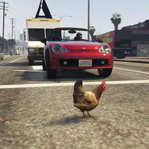 GTA 5 e uma galinha