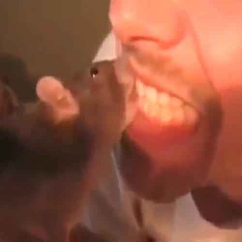 Homem usa rato para limpar seus dentes