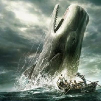 8 fatos estranhos sobre as baleias