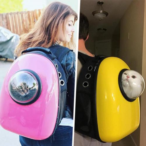  Com essa mochila seu gato vai te acompanhar a todos os lugares