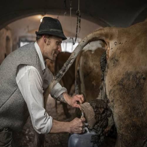 Artista alemão usa estrume de vaca para criar obras de arte