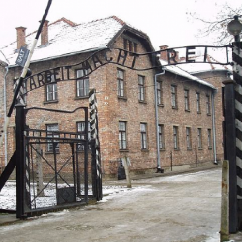 Auschwitz - A vida dentro dos campos de concentração nazistas