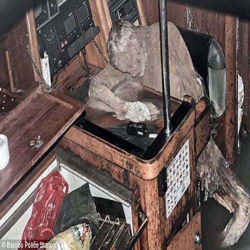 Alemão é encontrado mumificado dentro de um iate em alto-mar